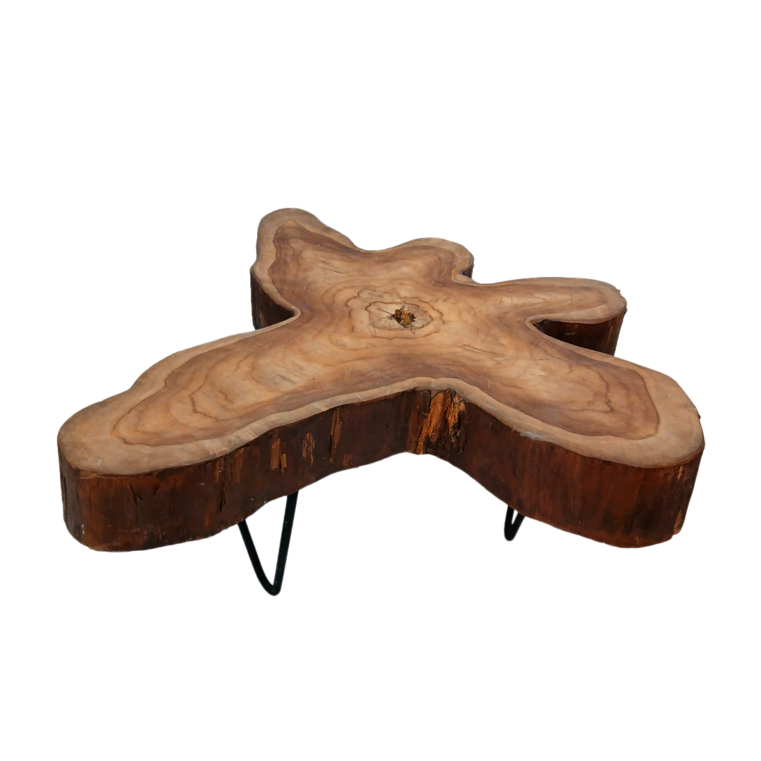 Mesa Auxiliar De Centro En Forma De Tronco Natural De Teca