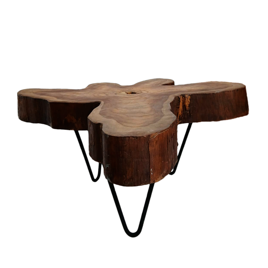 Mesa Auxiliar De Centro En Forma De Tronco Natural De Teca